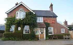 The Oak At Dewlish